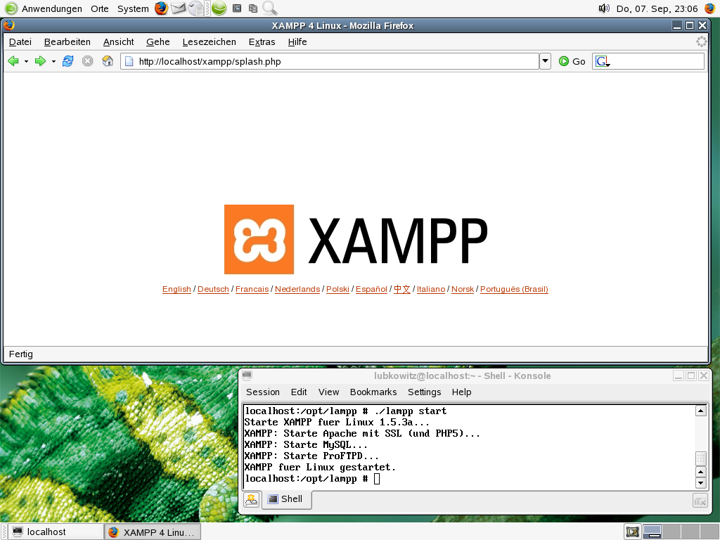 Die Ausgabe des XAMPP unter Linux im Browser nach erfolgreicher Installation