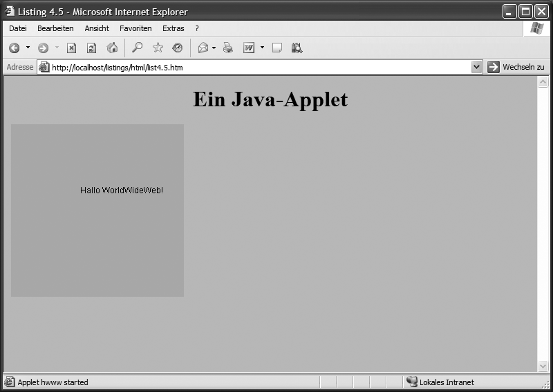 JavaApplet im Internet Explorer 6.0
